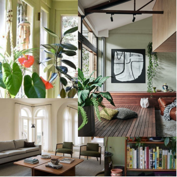 2022 Top Color Trend