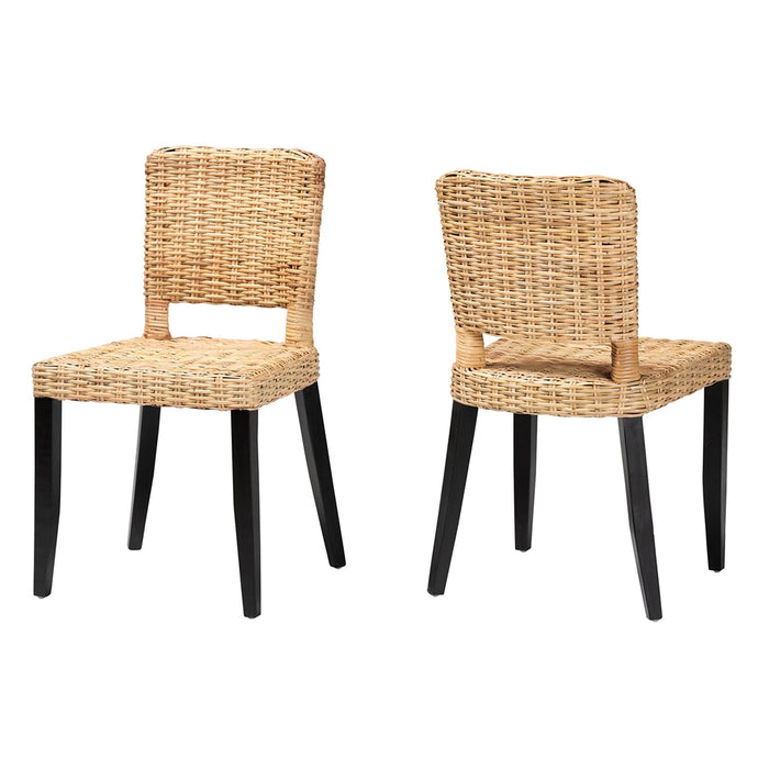 DERMOT BOHEMIAN 2-PIECE DINING CHAIR SET