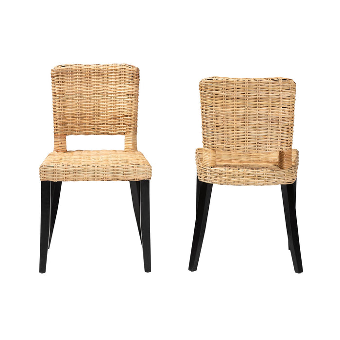 DERMOT BOHEMIAN 2-PIECE DINING CHAIR SET