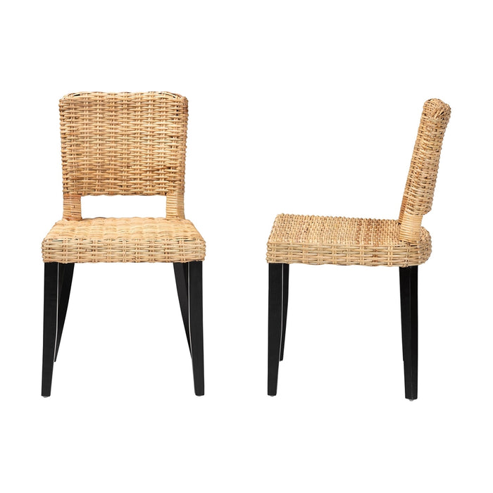 DERMOT BOHEMIAN 2-PIECE DINING CHAIR SET