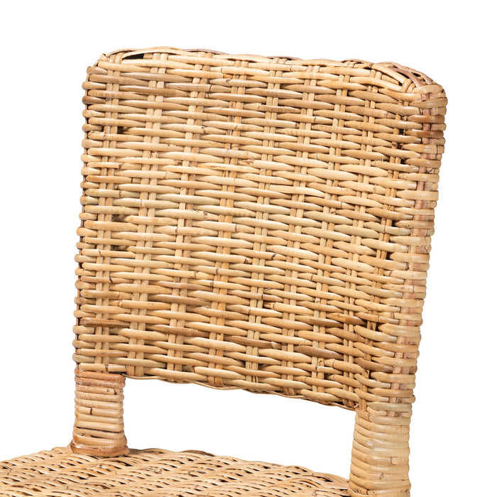 DERMOT BOHEMIAN 2-PIECE DINING CHAIR SET