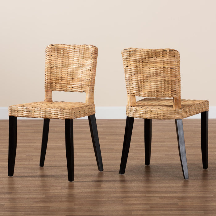 DERMOT BOHEMIAN 2-PIECE DINING CHAIR SET