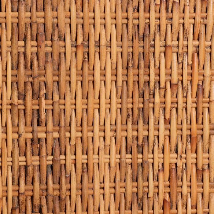 Derris Natural Rattan Dining Chair with Cushion – Light Honey