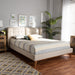 Gretchen Modern Queen Platform Bed - Cool Stuff & Accessories