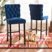 Daphne Bar Stool Set - Cool Stuff & Accessories