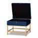 Aliana Small Storage Ottoman/Navy - Cool Stuff & Accessories