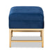 Aliana Small Storage Ottoman/Navy - Cool Stuff & Accessories