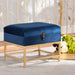 Aliana Small Storage Ottoman/Navy - Cool Stuff & Accessories