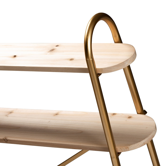 Merida Gold Display Shelf - Cool Stuff & Accessories