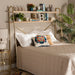 Merida Gold Display Shelf - Cool Stuff & Accessories