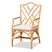 Delta Rattan Armchair - Cool Stuff & Accessories
