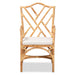Delta Rattan Armchair - Cool Stuff & Accessories