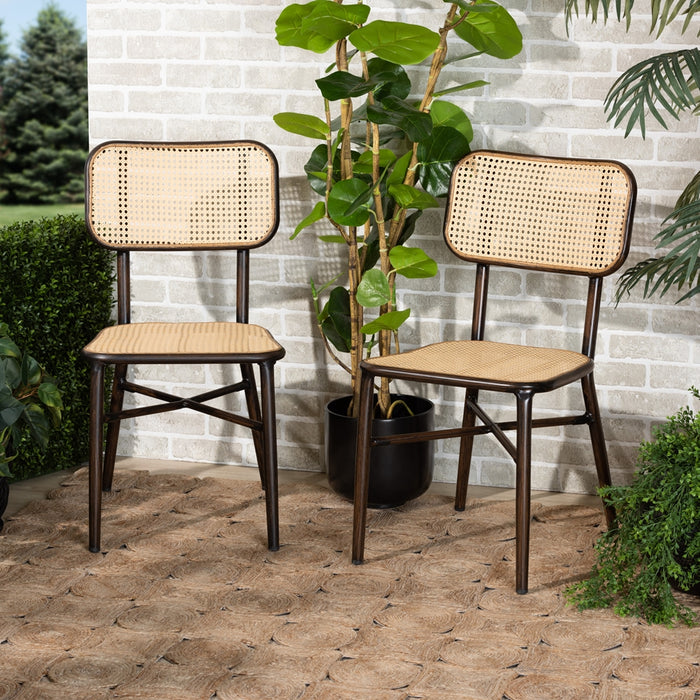 Katina Modern Rattan 2 Piece Outdoor Dining Chair Set/Dark Brown