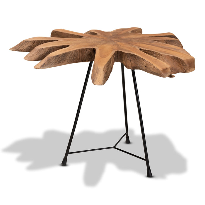 Merci End Table With Teak Tree Trunk Tabletop