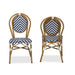 Alaire Bamboo Outdoor 2 Piece Dining Chair Set - Cool Stuff & Accessories