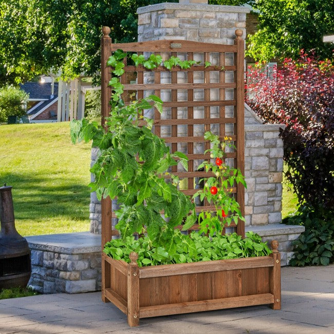 Wood Planter Box with Trellis for Garden