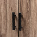 Arend Modern 2 Door Bookcase - Cool Stuff & Accessories