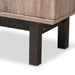 Arend Modern 2 Door Bookcase - Cool Stuff & Accessories