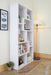 Furniture of America Betsy Modern Bookshelf - Cool Stuff & Accessories