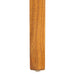 Cire Leather Dining Chair/ Cognac - Cool Stuff & Accessories