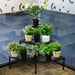 3-Tier Corner Metal Flower Ladder Plant Stand - Cool Stuff & Accessories