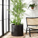 Alia Planter - Cool Stuff & Accessories