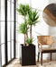 Kendri Planter - Cool Stuff & Accessories