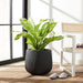 Francia Planter - Cool Stuff & Accessories