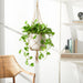 Peltria Grey Hanging Planter/Light Grey - Cool Stuff & Accessories